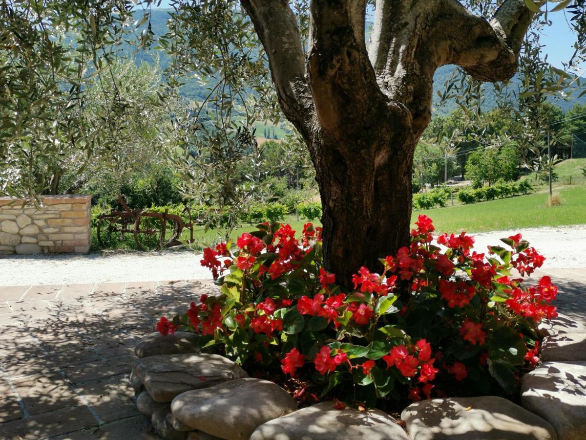 Agriturismo Sole Luna Piano Delle Pieve Dış mekan fotoğraf