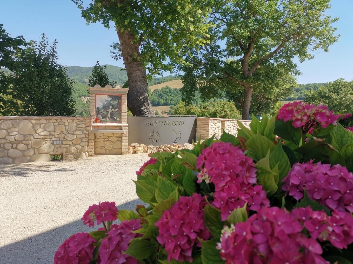 Agriturismo Sole Luna Piano Delle Pieve Dış mekan fotoğraf