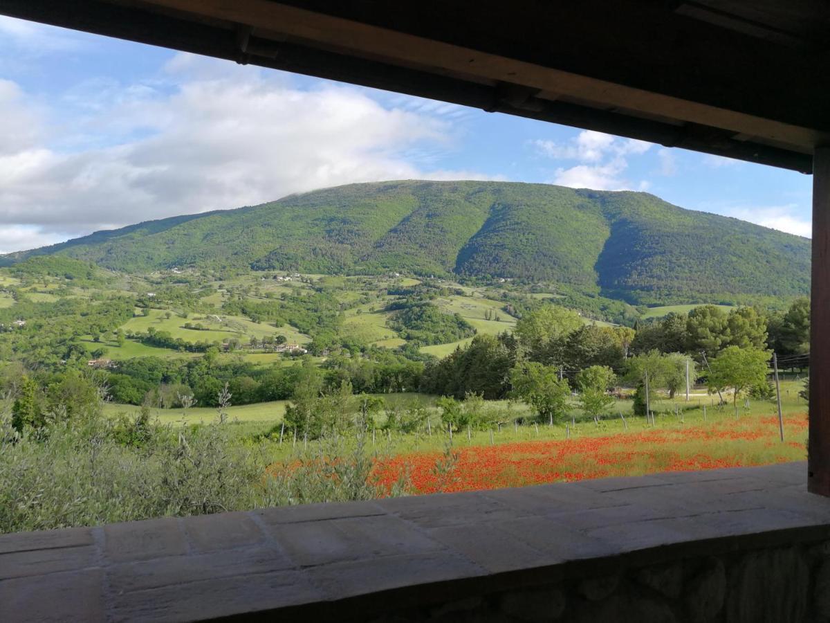 Agriturismo Sole Luna Piano Delle Pieve Dış mekan fotoğraf